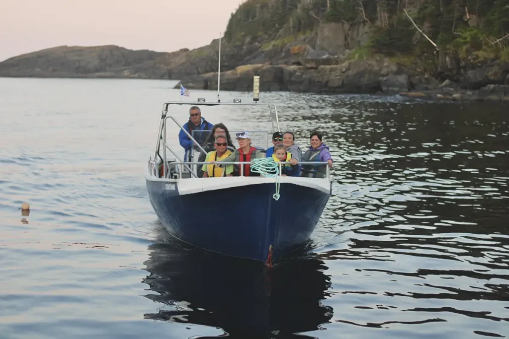 Whale Watching Adventure in Newfoundland